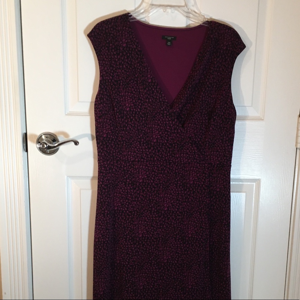 Ann Taylor 12P Dress